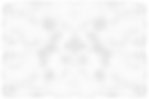 Untitled design4_edited.png